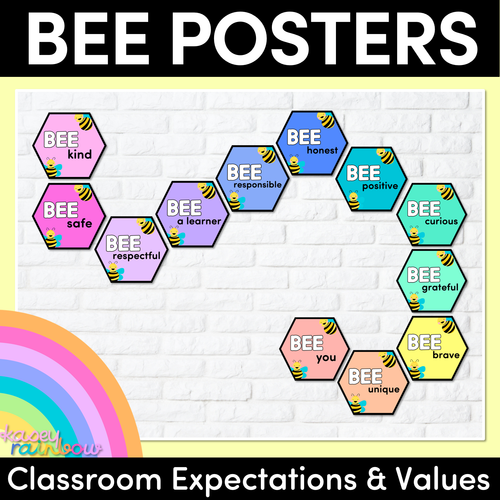 Resource preview 1 for Bee Posters- The Kasey Rainbow Collection - Classroom Values & Expectations