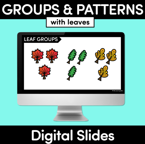 Resource preview 1 for Groups and Patterns with Leaves - Digital Slides