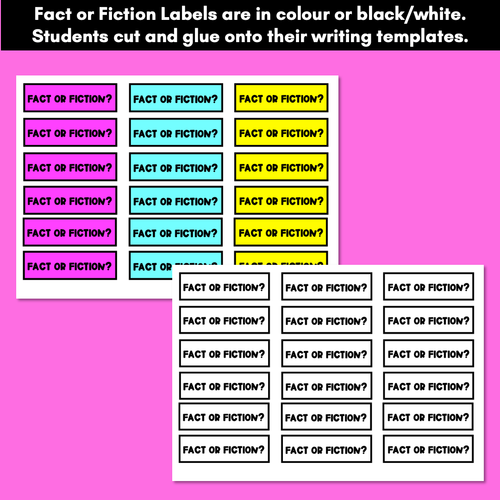 Resource preview 5 for Fact or Fiction Writing Templates