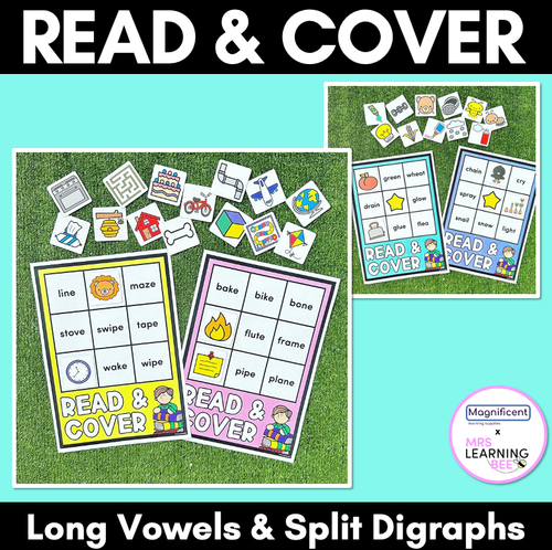 Resource preview 1 for Read & Cover Long Vowels & Split Digraphs