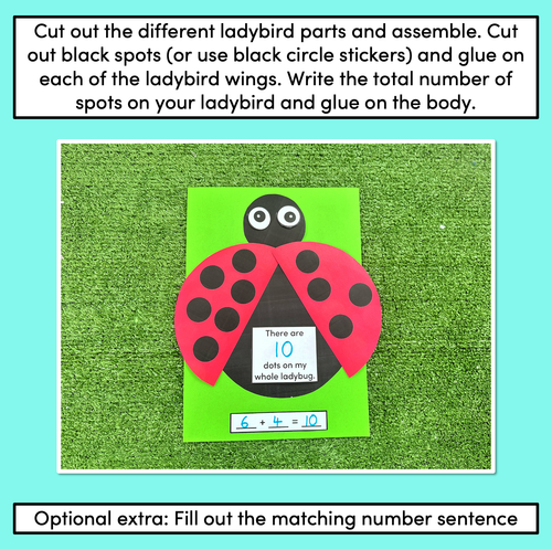 Resource preview 2 for Part Part Whole Craft Activity - Ladybug Craft