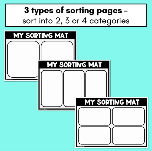 Resource preview 2 for Sorting Mats - Classification Recording Pages