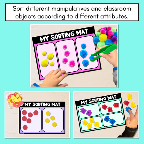 Resource preview 3 for Classification Sorting Mats