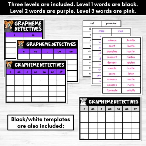 Resource preview 4 for Consonant Sound S Words Game - S Phoneme Decodable Words Activity -  Grapheme Detectives