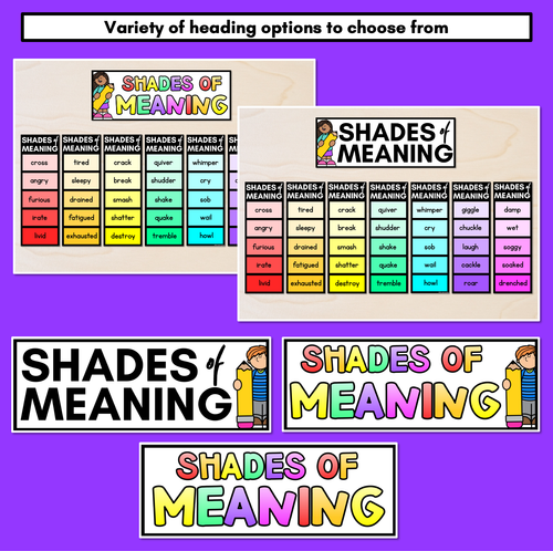 Resource preview 4 for Shades of Meaning Adjectives Posters - Editable