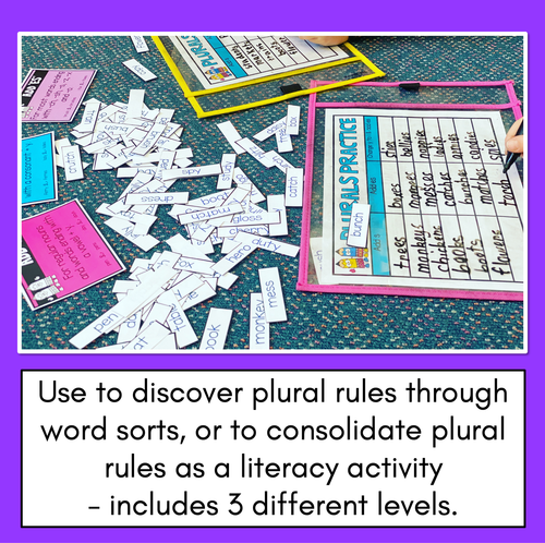 Resource preview 2 for Plural Rule Literacy Center