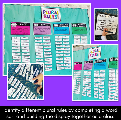 Resource preview 3 for Plural Rule Display