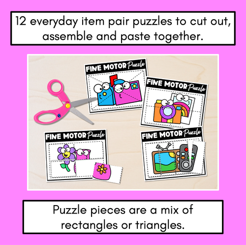 Resource preview 2 for FINE MOTOR PUZZLE TEMPLATES - Everyday Item Pairs