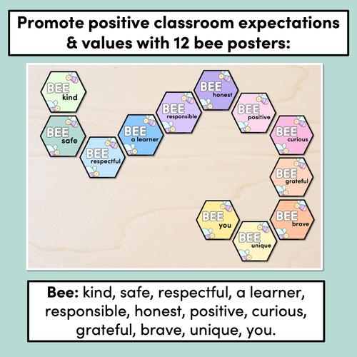 Resource preview 2 for Bee Posters- The Brentos Collection - Classroom Values & Expectations