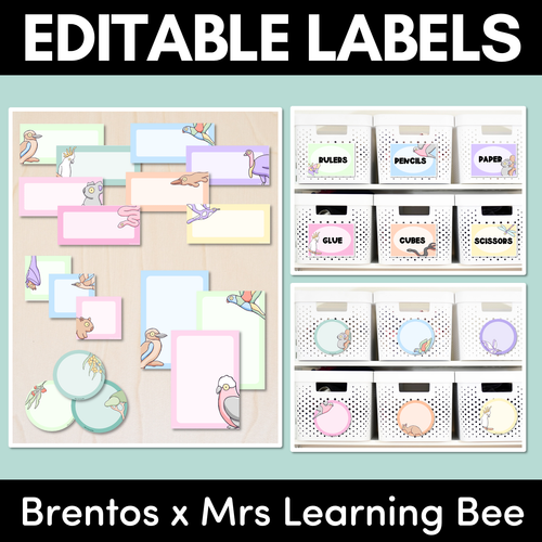 Resource preview 1 for 2500+ EDITABLE LABELS - The Brentos Collection