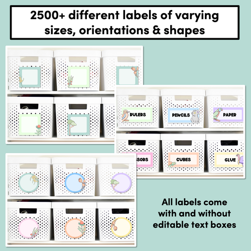 Resource preview 2 for 2500+ EDITABLE LABELS - The Brentos Collection