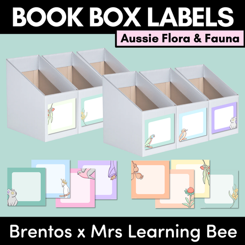 Resource preview 4 for BOOK BOX HOLDER EDITABLE LABELS- The Brentos Collection