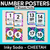 1 for NUMBER POSTERS - Inky Soda CHEETAH Collection