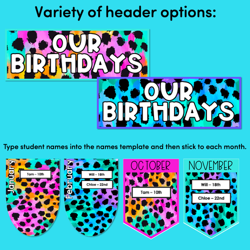 Resource preview 5 for BIRTHDAYS DISPLAYS - Inky Soda CHEETAH Collection