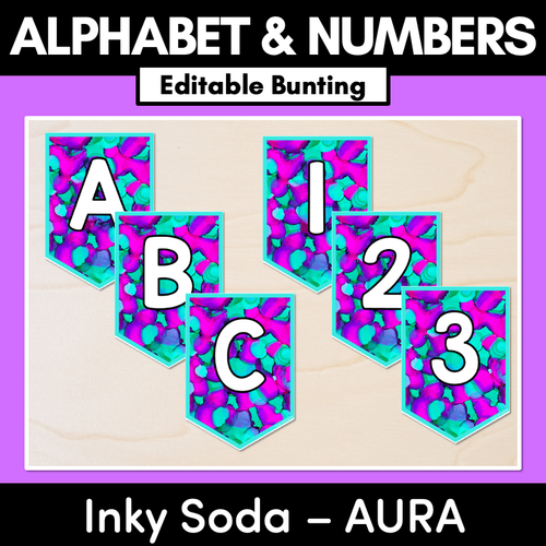 Resource preview 1 for EDITABLE BUNTING - Alphabet & Numbers - Inky Soda AURA Collection