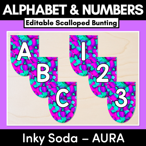 Resource preview 1 for EDITABLE SCALLOPED BUNTING - Alphabet & Numbers - Inky Soda AURA Collection