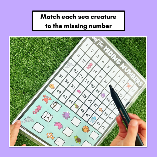 Resource preview 3 for Find the Hidden Numbers - 1-50 - Level 3 Task Cards & Worksheets