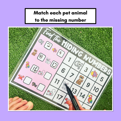 Resource preview 3 for Find the Hidden Numbers - 1-20 - Level 1 Task Cards & Worksheets