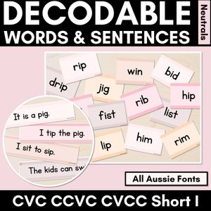 Neutral CVC CVCC CCVC Short I Decodable Words and Sentence Cards