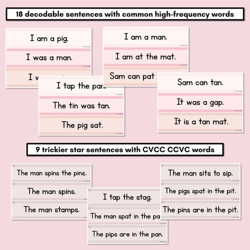 Resource preview 3 for Neutral CVC CVCC CCVC Decodable Words and Sentence Cards - Set 1 - s a t p i n m g