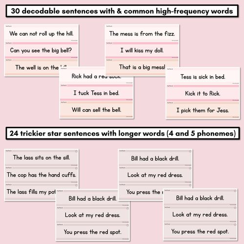 Resource preview 3 for Neutral Consonant Digraphs LL SS FF ZZ CK Decodable Words and Sentence Cards