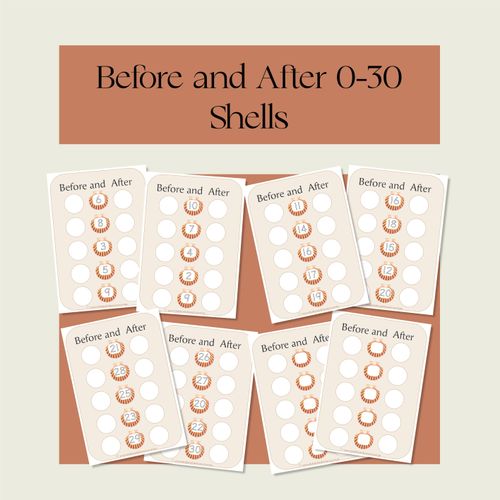 Resource preview 1 for Before and After 0-30- Shells