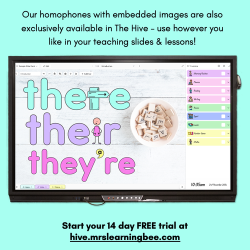 Resource preview 5 for Commonly Confused Homophones - Student Templates with embedded images