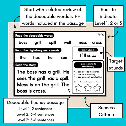 Resource preview 3 for Differentiated Decodable Fluency Texts - Consonant Digraphs - ff ll ss zz words