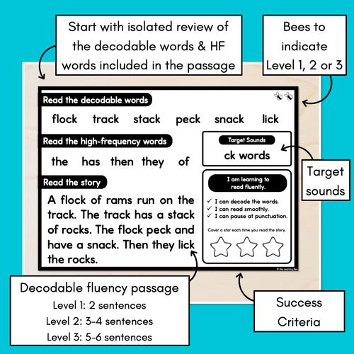 Resource preview 3 for Differentiated Decodable Fluency Texts - Consonant Digraphs - ck words