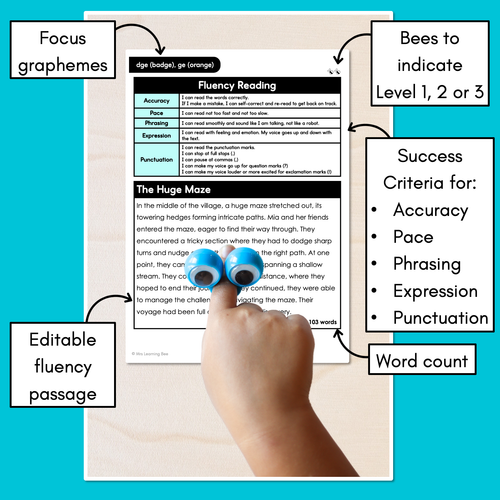 Resource preview 3 for Editable Differentiated Decodable Fluency Texts - dge (badge), ge (orange)