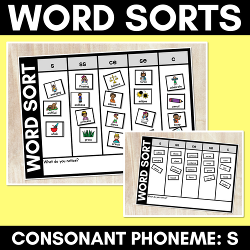 Resource preview 1 for CONSONANT PHONEME S WORD SORT