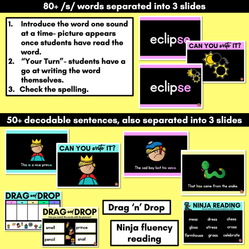 Resource preview 3 for Consonant Sound S PowerPoint - S SS C CE SE