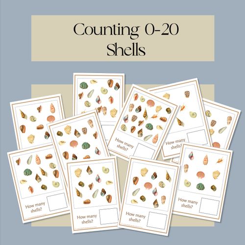 Resource preview 1 for Counting 0-20 Shells