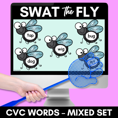 Resource preview 1 for FLY SWAT CVC WORD DIGITAL SLIDES - Set 2 - Mixed CVC Words - Digital Phonics