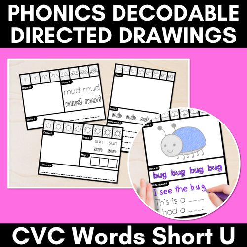 Resource preview 5 for CVC Word Directed Drawings Bundle