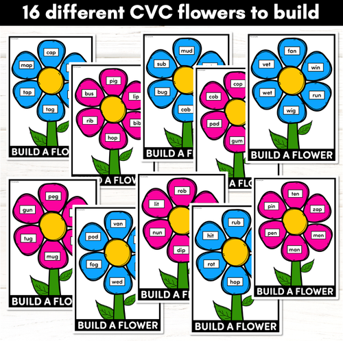 Resource preview 2 for CVC Words Phonics Game - BUILD A PHONICS FLOWER Kindergarten Literacy Center