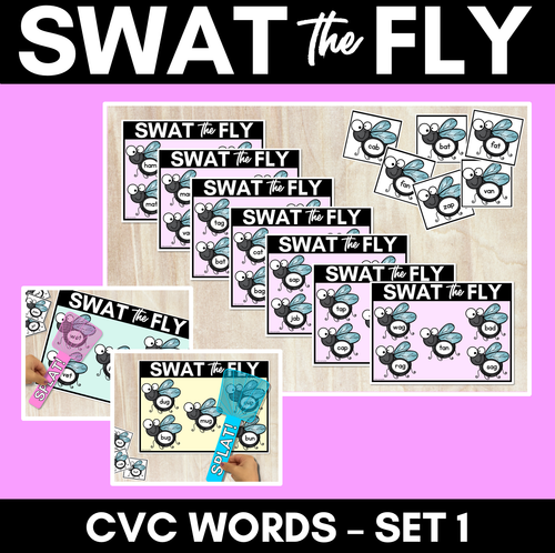 Resource preview 1 for FLY SWAT CVC WORD MATS - Set 1 - Kindergarten Phonics Game