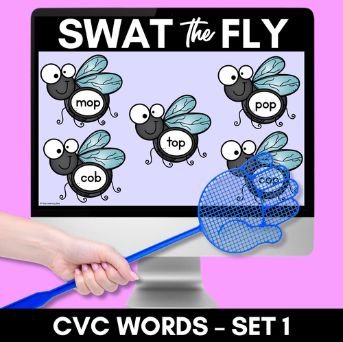 Resource preview 1 for FLY SWAT CVC WORD DIGITAL SLIDES - Set 1 - Kindergarten Phonics Game