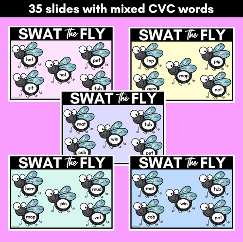 Resource preview 2 for FLY SWAT CVC WORD DIGITAL SLIDES - Set 2 - Mixed CVC Words - Digital Phonics