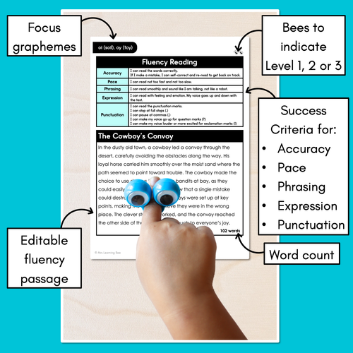 Resource preview 3 for Editable Differentiated Decodable Fluency Texts - oi (soil), oy (toy)