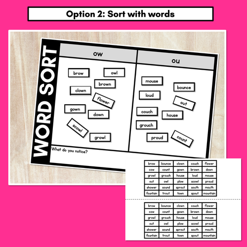 Resource preview 3 for DIPHTHONG OW OU WORD SORT