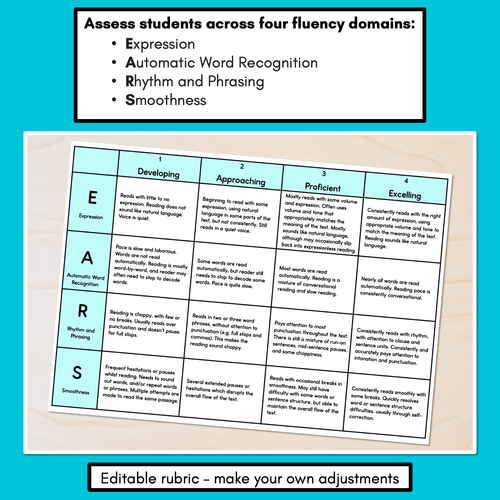 Resource preview 2 for Reading Fluency Rubric - Editable EARS Assessment