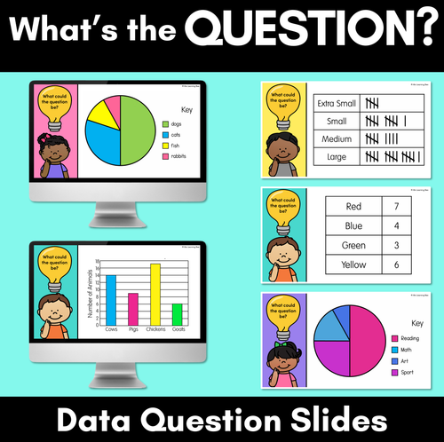 Resource preview 1 for What's the Question - Data Question Slides