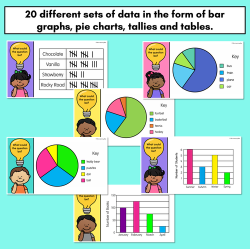 Resource preview 3 for What's the Question - Data Question Slides