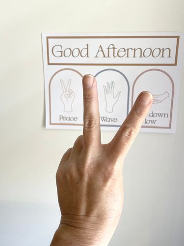 Resource preview 6 for Greetings and Hand Signal Posters