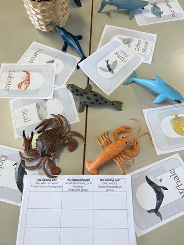 Resource preview 6 for Ocean Life Classification Cards and Writing Prompts