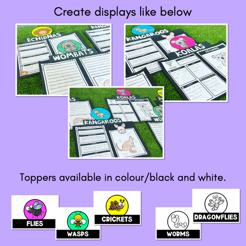 Resource preview 2 for INFORMATIVE TEXT TEMPLATES - Mini Beasts Writing Templates for K-2