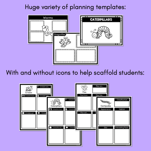 Resource preview 3 for INFORMATIVE TEXT TEMPLATES - Mini Beasts Writing Templates for K-2