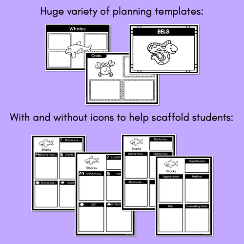 Resource preview 3 for INFORMATIVE TEXT TEMPLATES - Sea Creatures Writing Templates for K-2