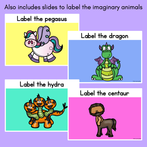 Resource preview 3 for IMAGINARY ANIMALS Information Writing Slides